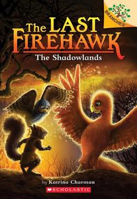 Cover image for The Shadowlands: A Branches Book (the Last Firehawk #5): Volume 5