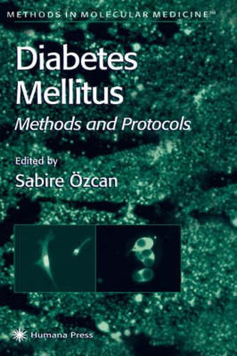 Diabetes Mellitus