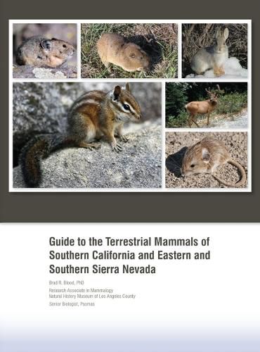 Cover image for Guide to the Terrestrial Mammals of Southern California and Eastern and Southern Sierra Nevada