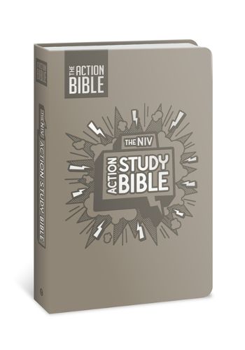 Cover image for NIV Action Study Bible, Leathersoft, Gray, Full Color