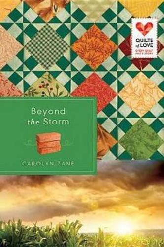 Cover image for Beyond the Storm