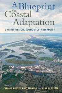 Cover image for A Blueprint for Coastal Adaptation: Uniting Design, Economics, and Policy