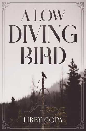 Cover image for A Low Diving Bird