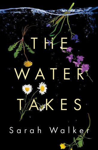 Cover image for The Water Takes
