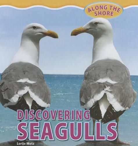 Cover image for Discovering Seagulls