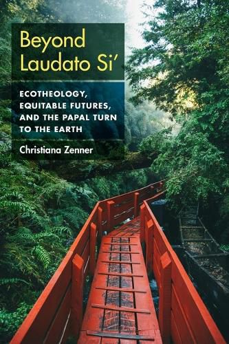 Cover image for Beyond Laudato Si'
