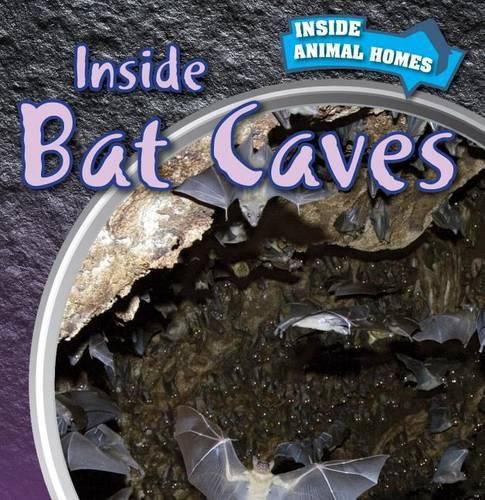 Cover image for Inside Bat Caves