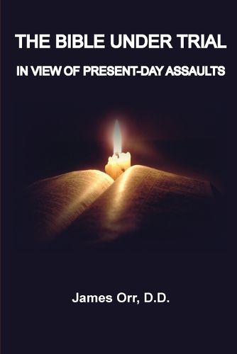 Cover image for The Bible Under Trial