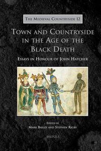 Cover image for Town and Countryside in the Age of the Black Death: Essays in Honour of John Hatcher