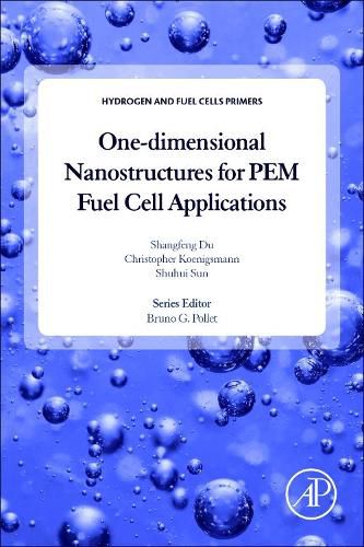 One-dimensional Nanostructures for PEM Fuel Cell Applications