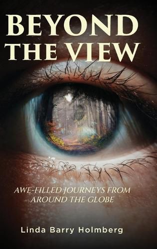 Cover image for Beyond the View
