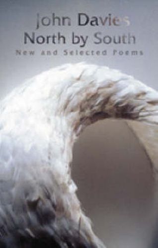 Cover image for North by South: New and Selected Poems