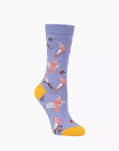 7-11 Galah Sock Mens