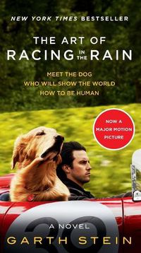 Cover image for The Art of Racing in the Rain Movie Tie-In Edition