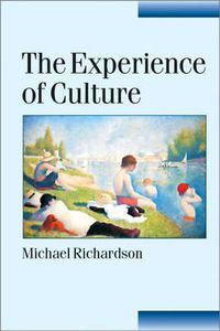 Cover image for The Experience of Culture