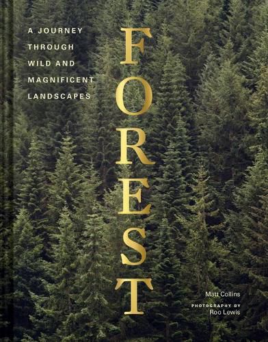 Cover image for Forest