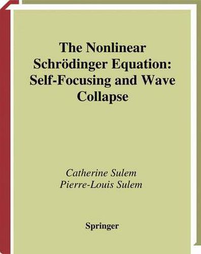 Cover image for The Nonlinear Schroedinger Equation: Self-Focusing and Wave Collapse