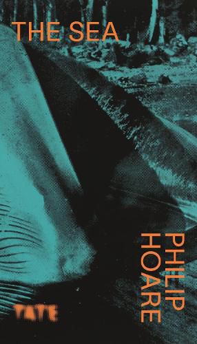 Cover image for Look Again: The Sea