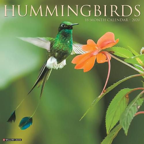 Cover image for Hummingbirds 2020 Wall Calendar