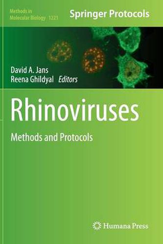 Cover image for Rhinoviruses: Methods and Protocols