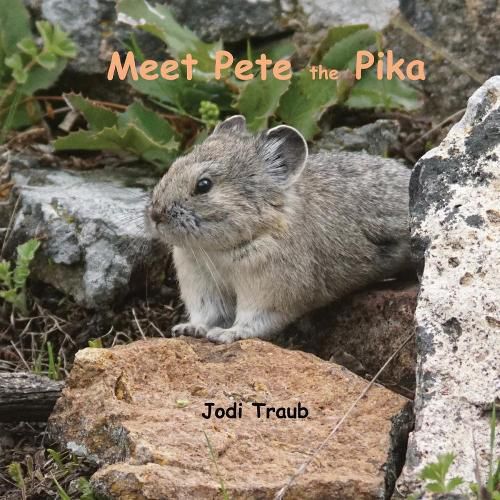 Cover image for Meet Pete the Pika