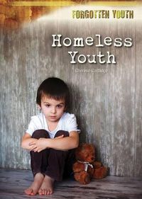 Cover image for Homeless Youth