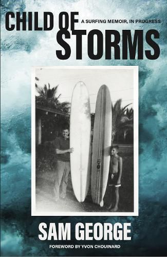 Cover image for Child of Storms