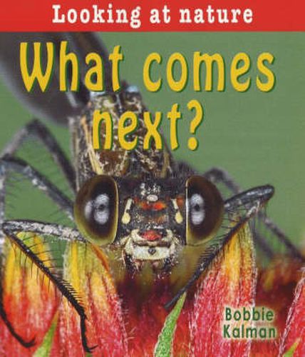 Cover image for What Comes Next