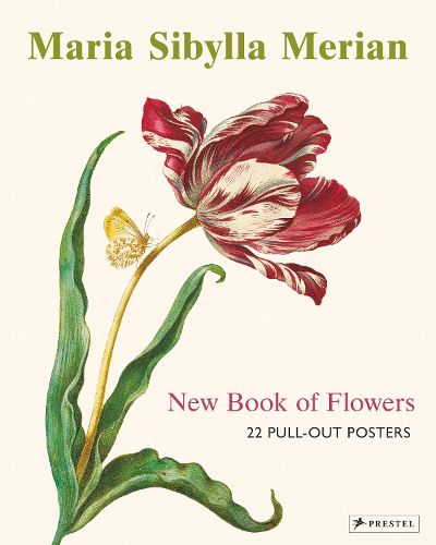 Cover image for Maria Sibylla Merian: 22 Pull-Out Posters