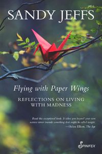 Cover image for Flying with Paper Wings