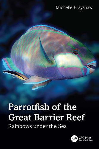 Parrotfish of the Great Barrier Reef