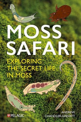 Cover image for Moss Safari