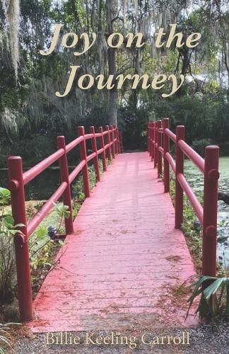 Cover image for Joy on the Journey