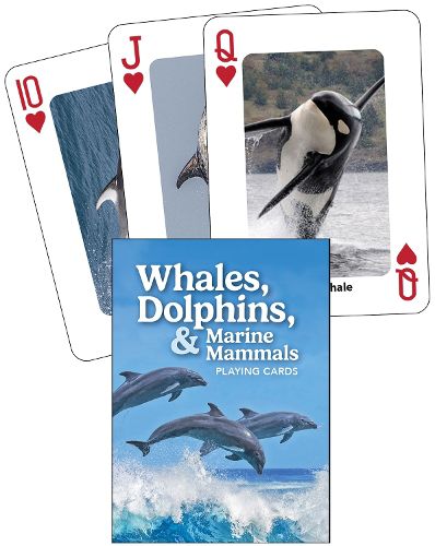 Whales, Dolphins, and Marine Mammals Playing Cards