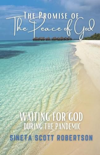 Cover image for The Promise of the Peace of God: Waiting for God During a Pandemic