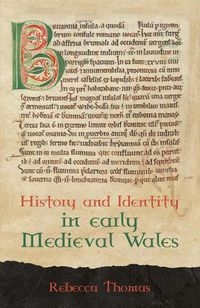 Cover image for History and Identity in Early Medieval Wales