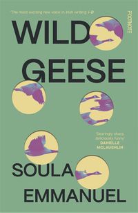 Cover image for Wild Geese