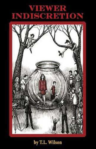 Cover image for Viewer Indiscretion
