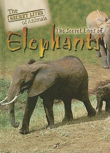 The Secret Lives of Elephants