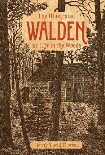 Cover image for The Illustrated Walden: or, Life in the Woods
