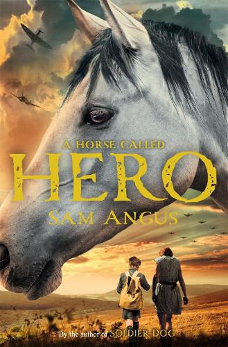 Cover image for A Horse Called Hero