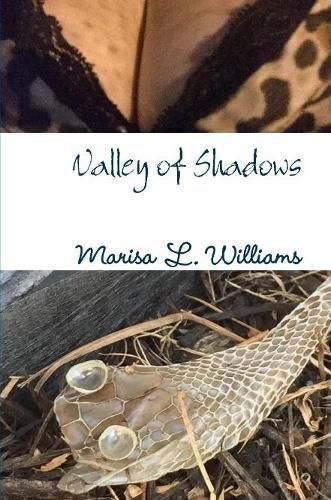 Cover image for Valley of Shadows