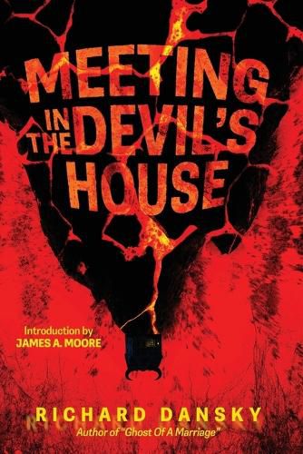 Cover image for A Meeting In The Devil's House