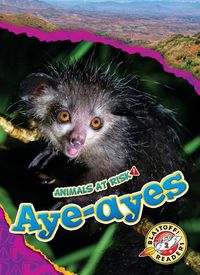 Cover image for Aye-Ayes