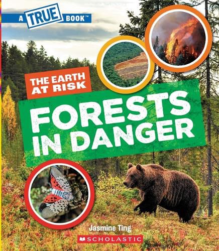 Cover image for Forests in Danger (a True Book: The Earth at Risk)