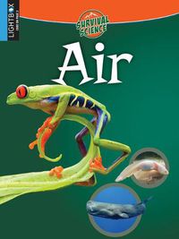 Cover image for Air