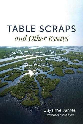 Cover image for Table Scraps and Other Essays