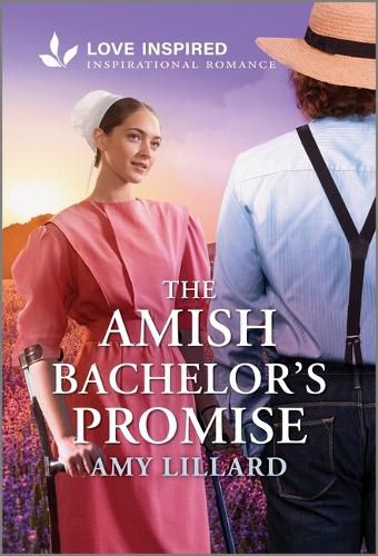 The Amish Bachelor's Promise