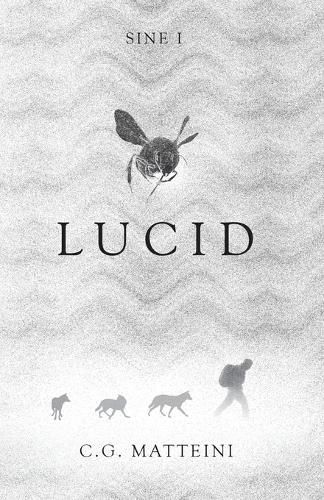 Cover image for Lucid