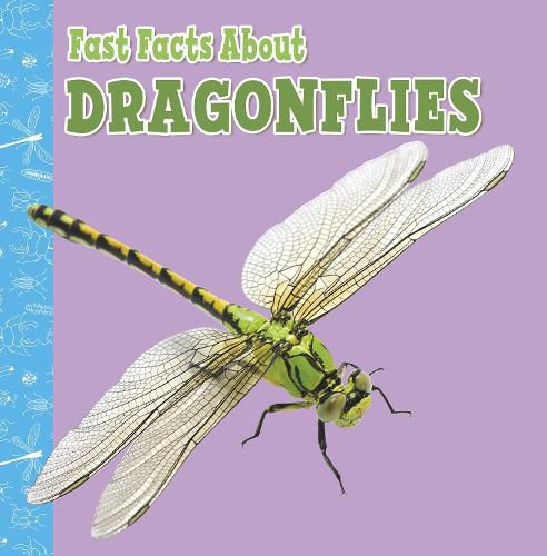 Fast Facts About Dragonflies